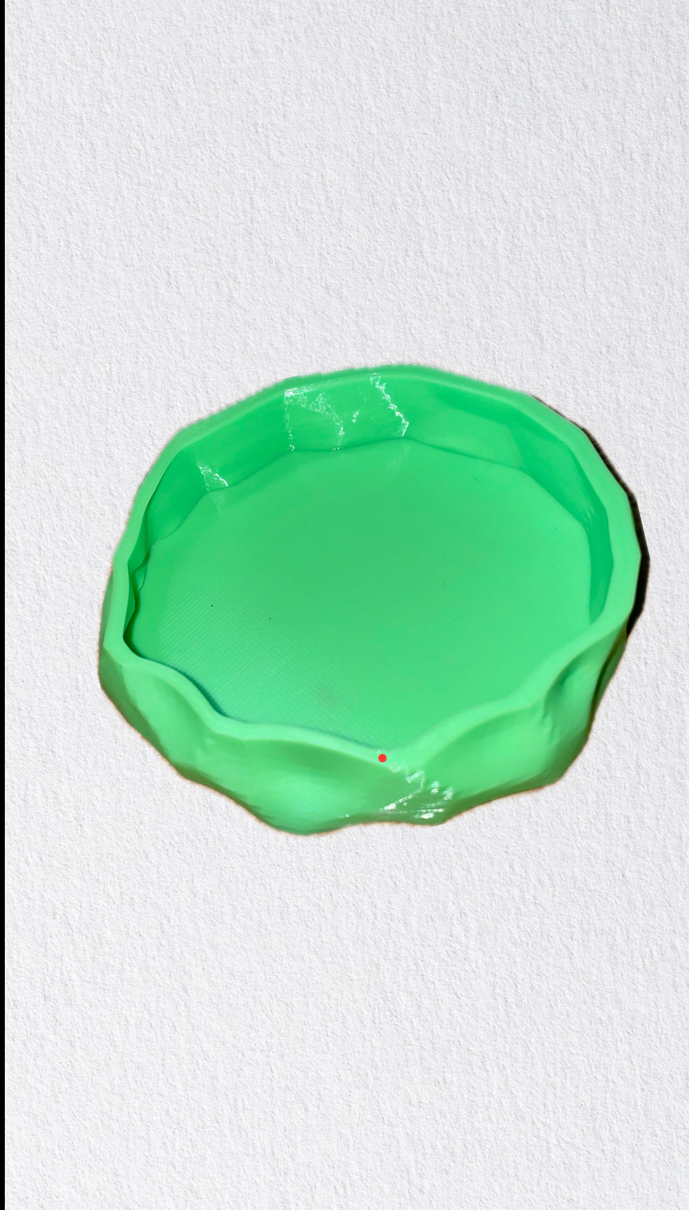 Bol mangeoire pour terrarium