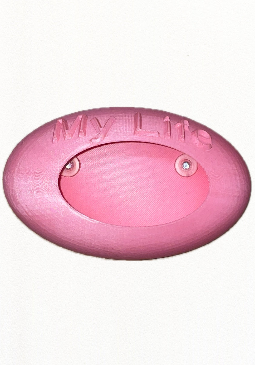 cocoon à gecko ou autres reptiles