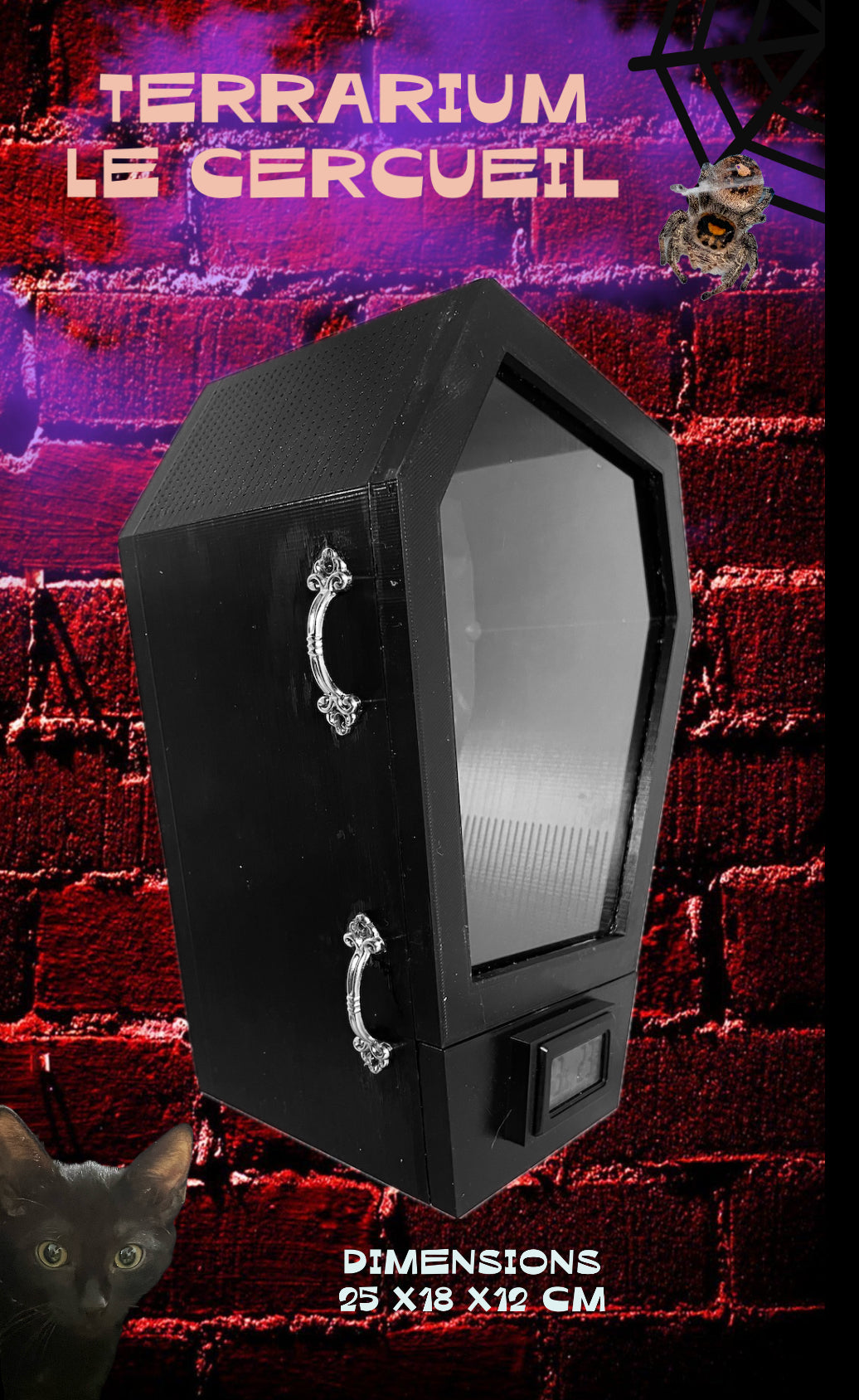 Terrarium cercueil pour araignées phidippus ou sauteuse