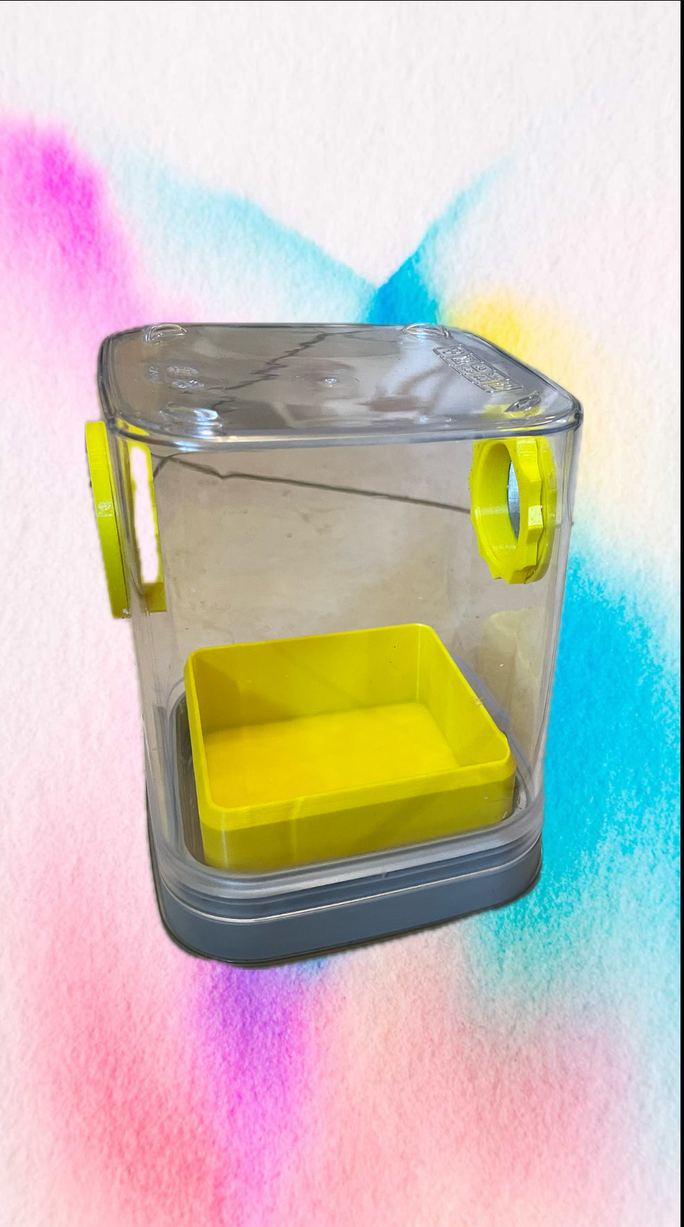 enclos pour araignée sauteuse