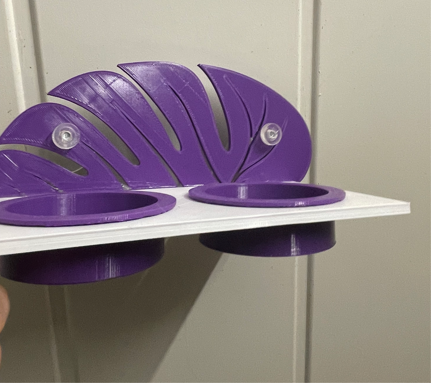 mangeoire feuille pour terrarium avec ventouse