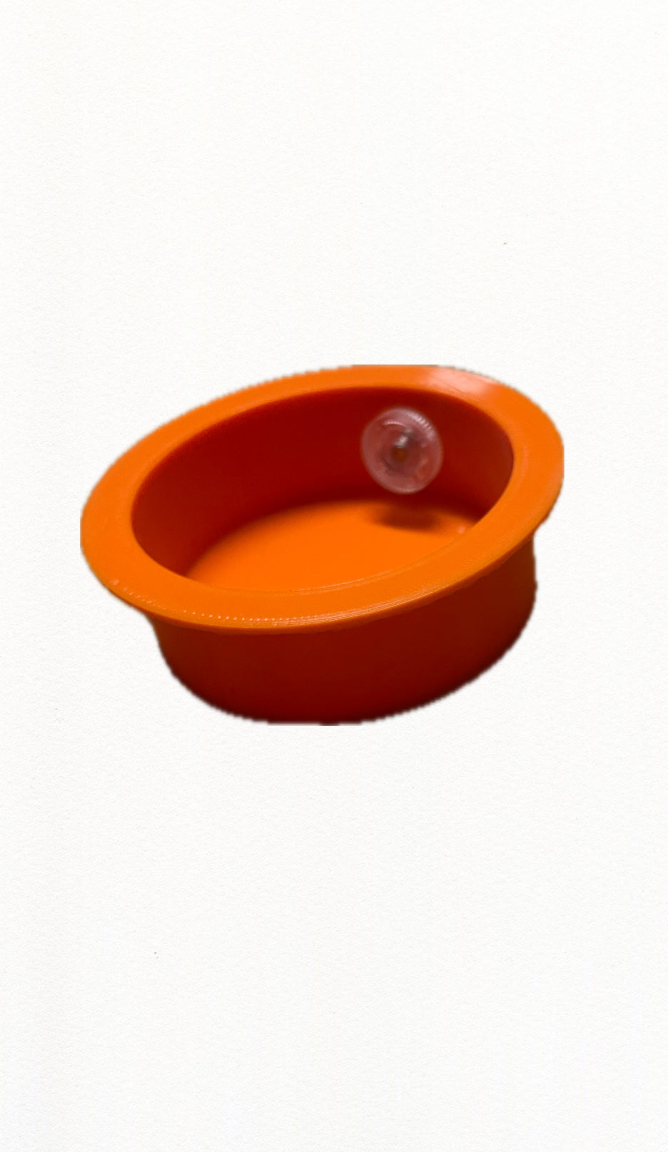 mangeoire à ventouse pour gecko pogona autre petit animal