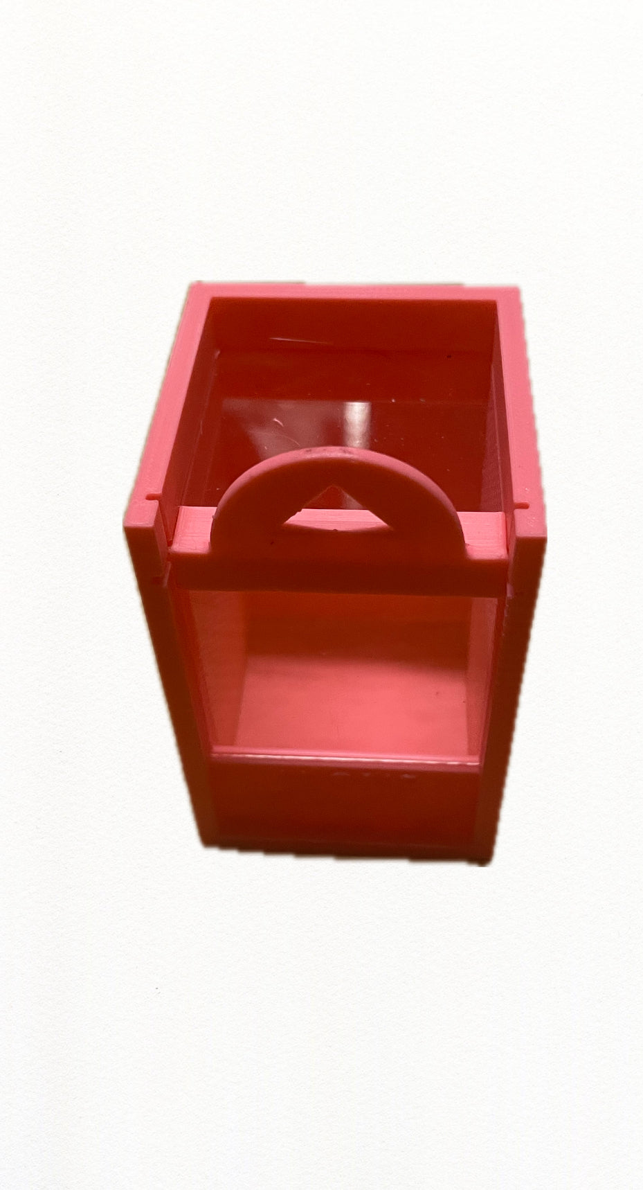 terrarium pour araignées phidippus régius mini sans thermomètre