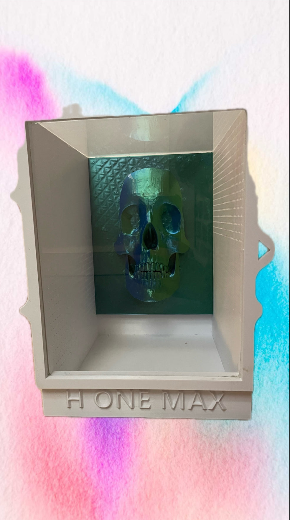 terrarium pour araignées / insectes