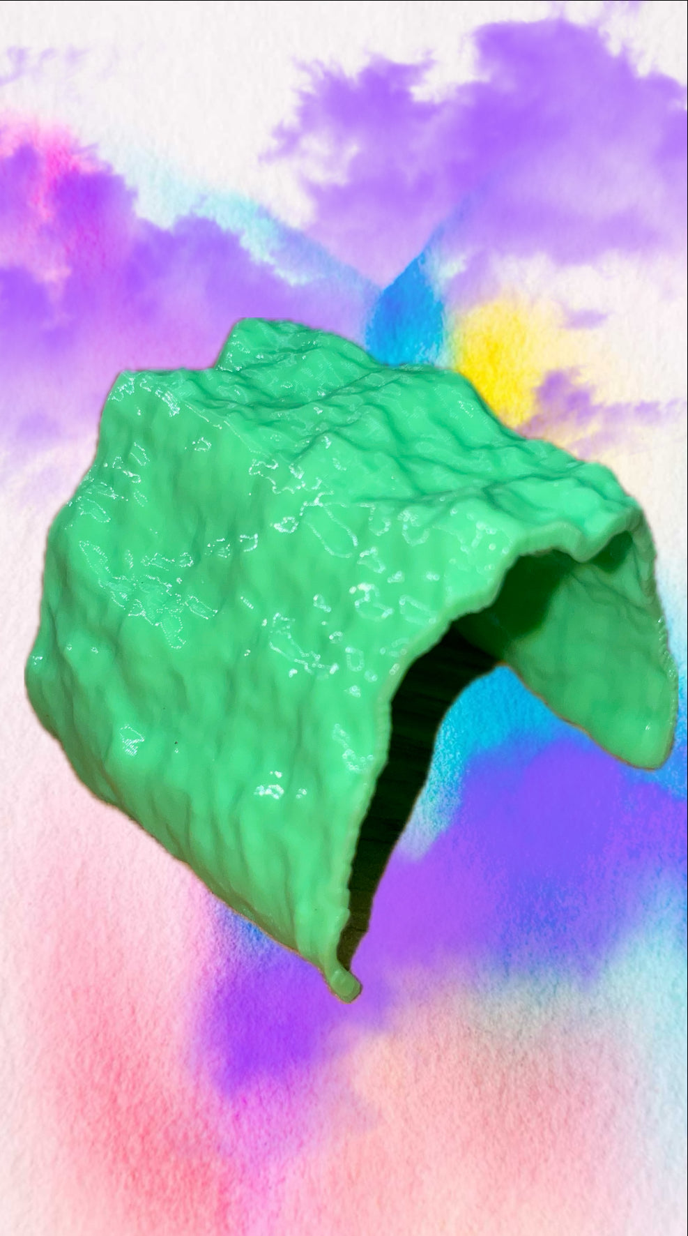 grotte pour araignées ou isopodes