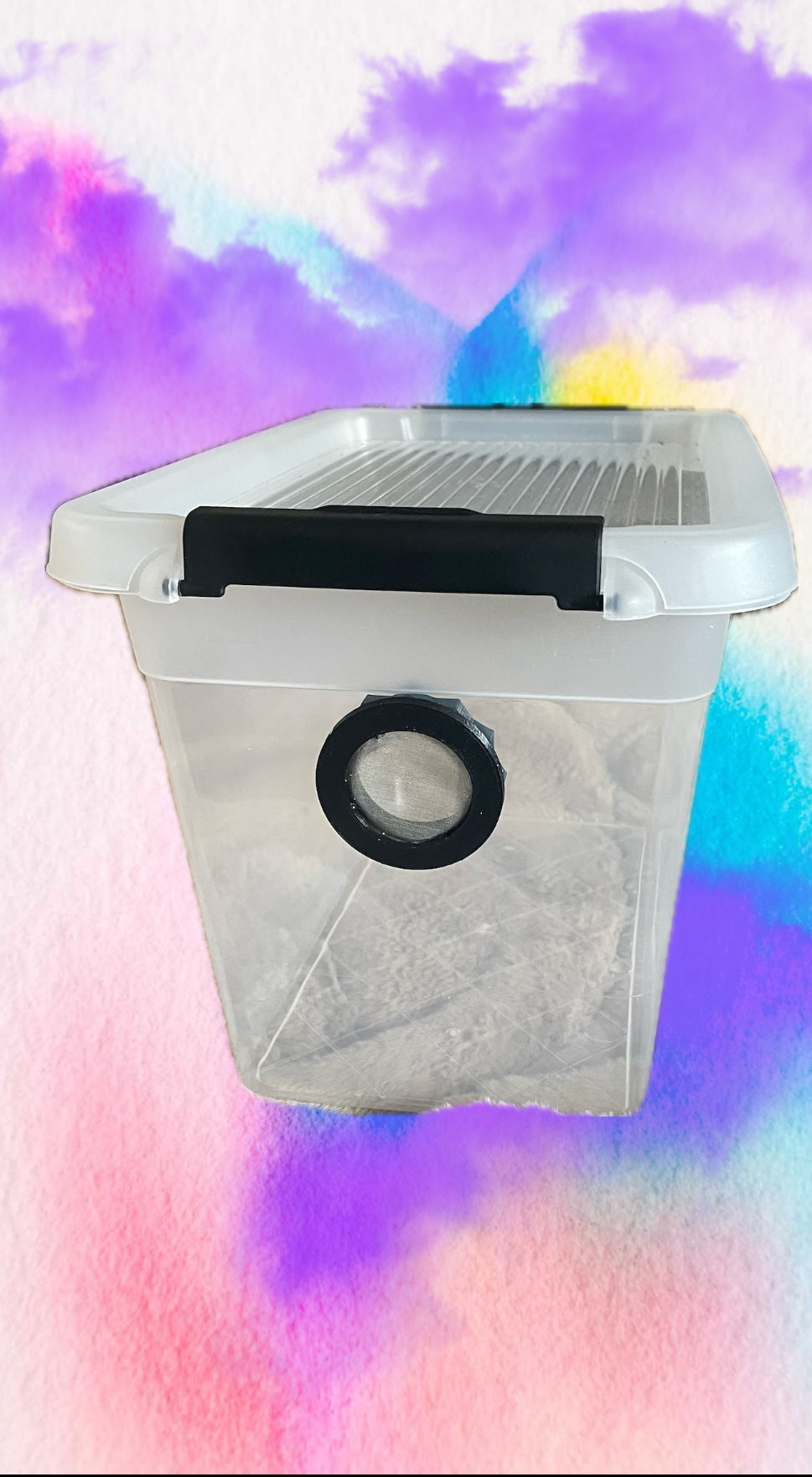 Boîte d'élevage ou box pour isopodes ou myriapodes plusieurs tailles