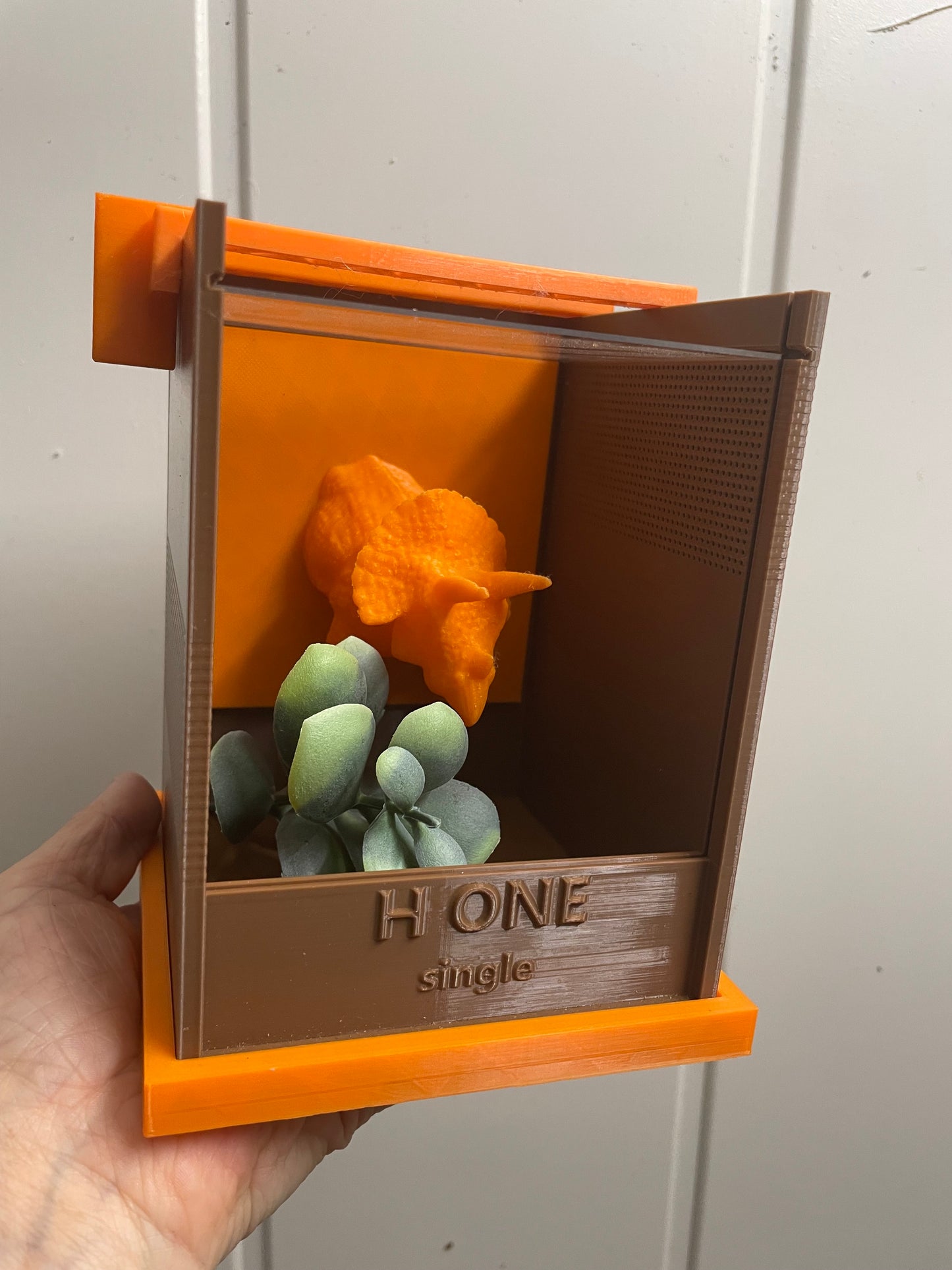 Terrarium pour araignée phidippus régius avec décor sans thermomètre H one single