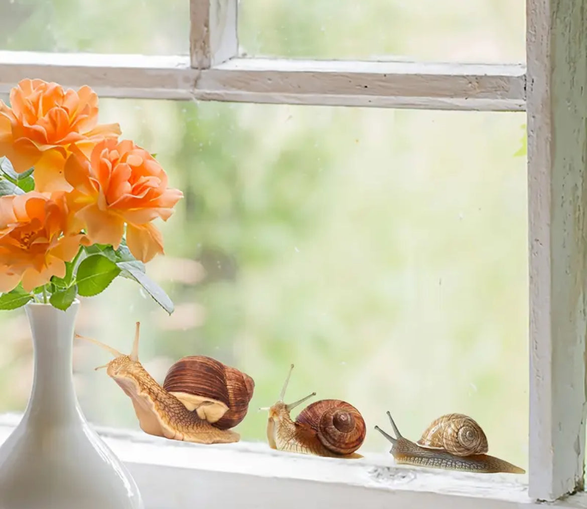 autocollant Escargot
