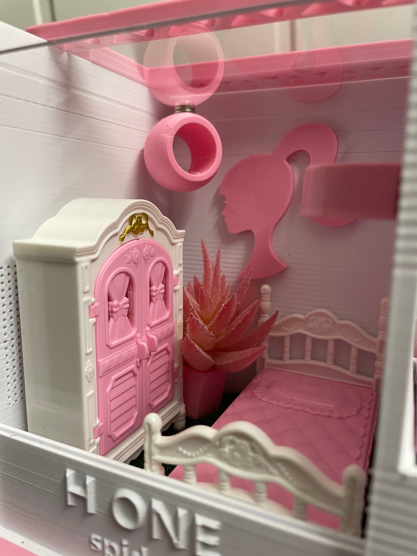 Terrarium pour araignée phidippus H One collector