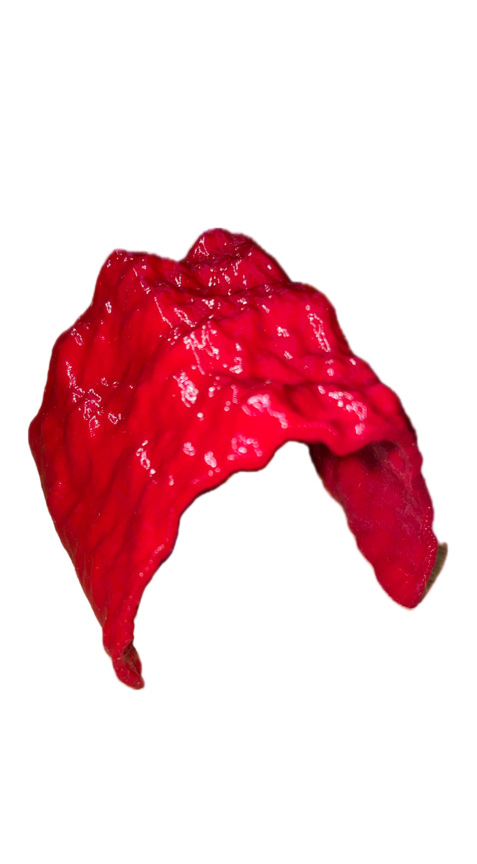 grotte pour araignées ou isopodes