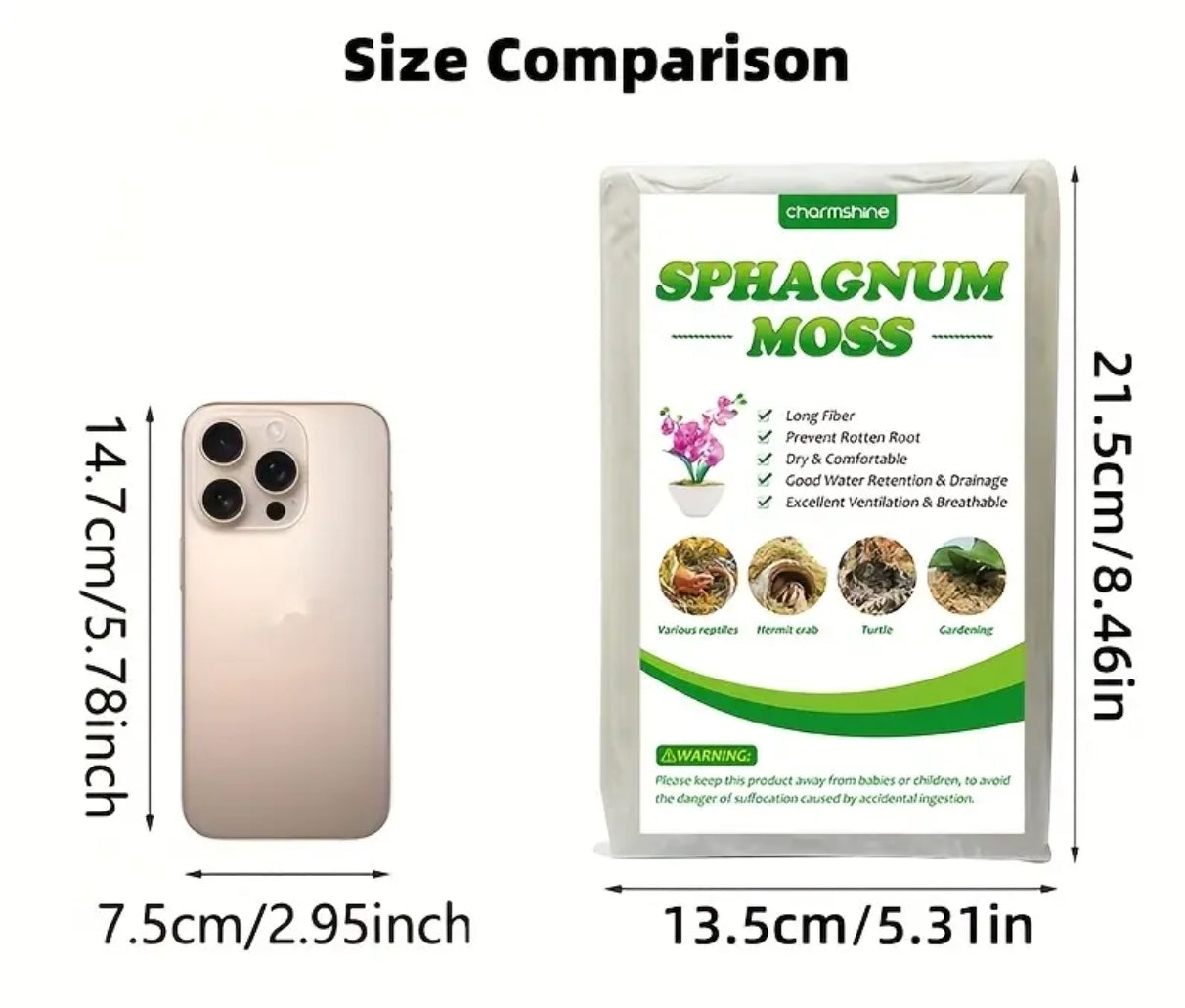 Sphaigne pour terrarium
