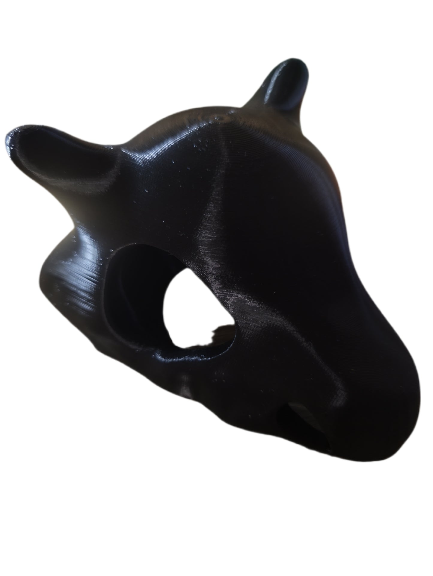 Cachette crane dinosaure style cartoon