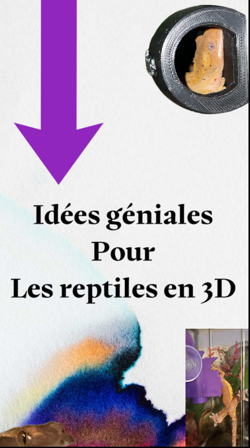 Nos idées géniales en 3D pour tous reptiles