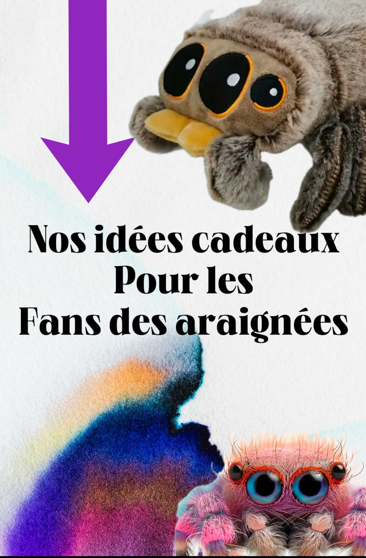 idées cadeaux pour les Fans des araignées