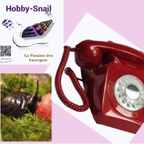 entretien avec Hobby Snail