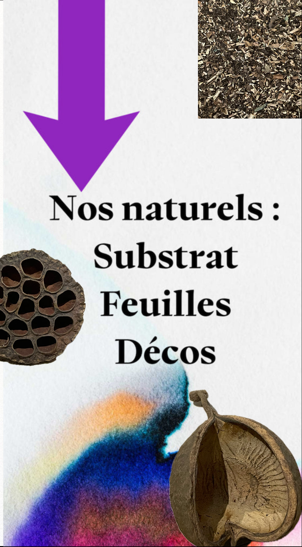 Substrats, feuilles, décorations naturelles