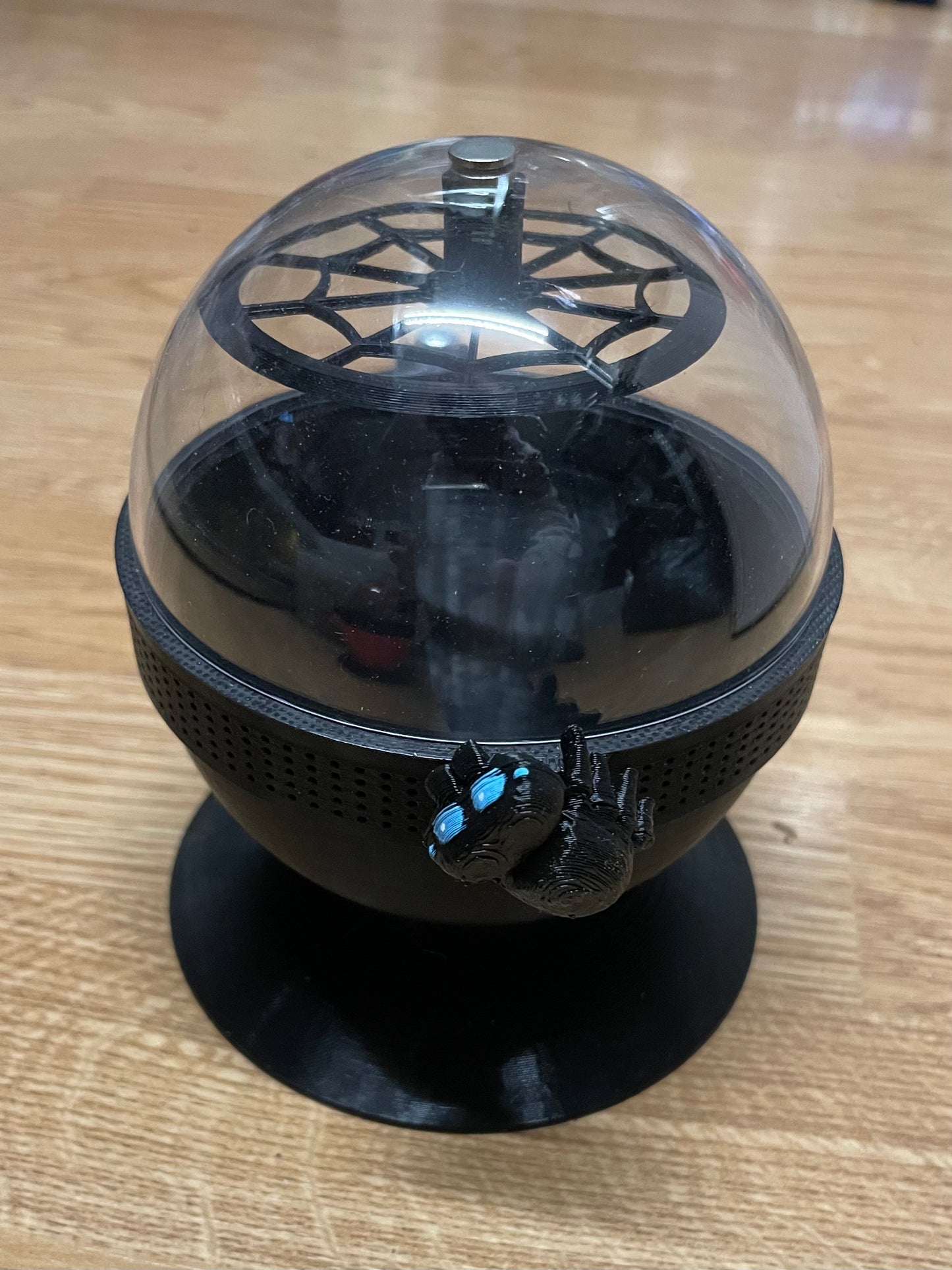terrarium pour araignée phidippus régius forme boule