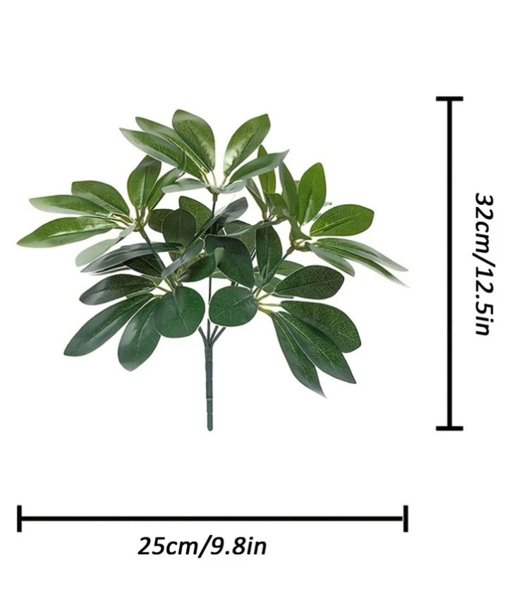 plant leaves