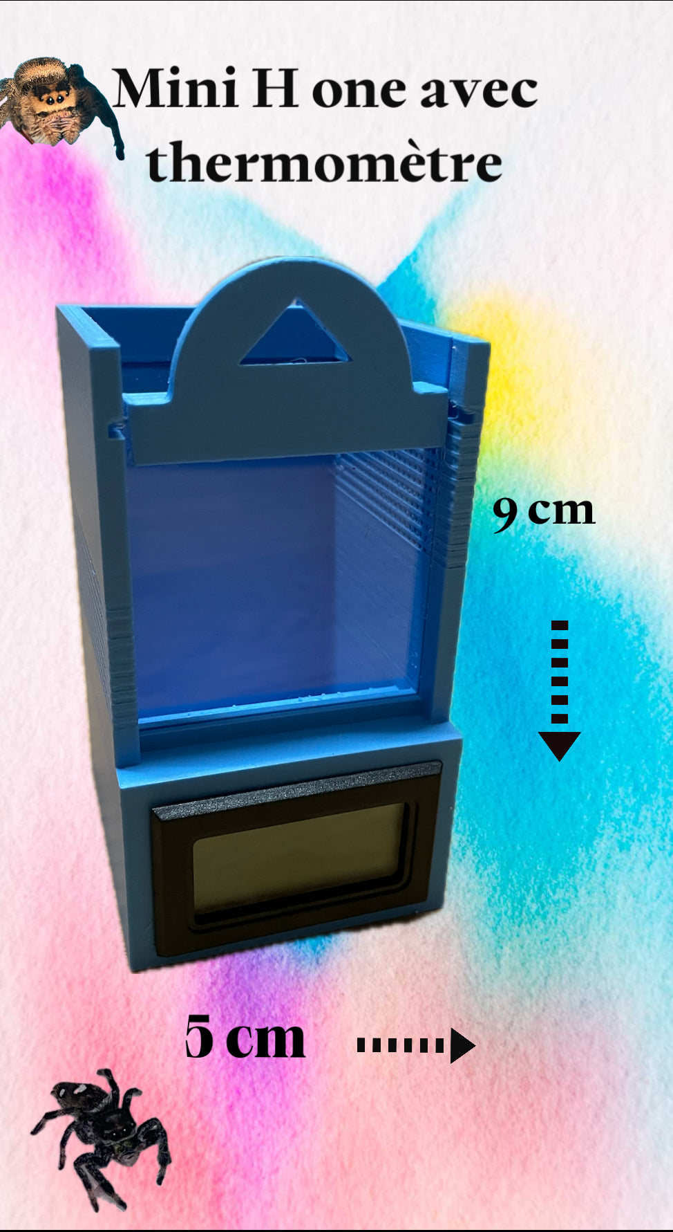 Terrarium pour phidippus régius avec thermomètre hygrométrique