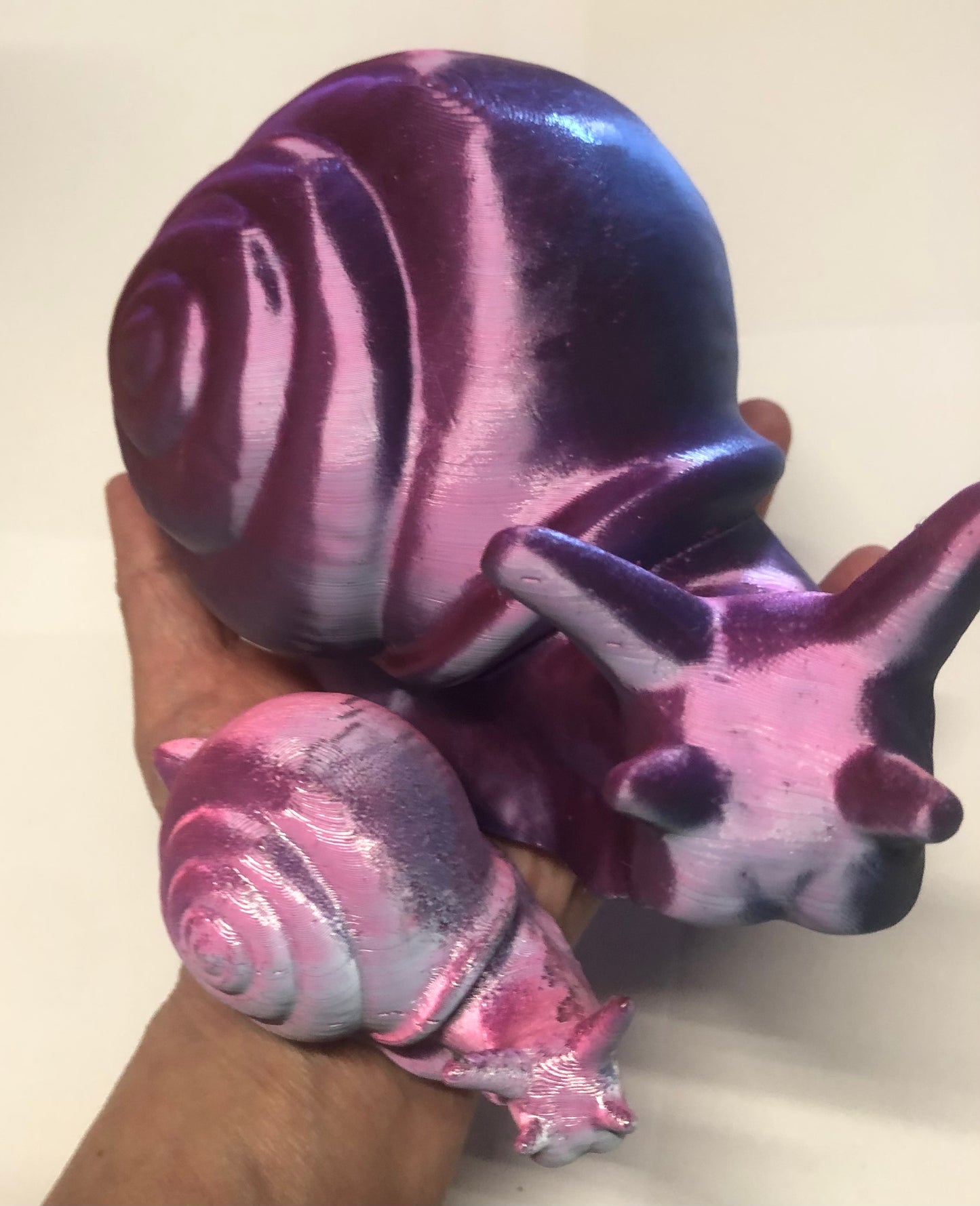 Escargot 3d