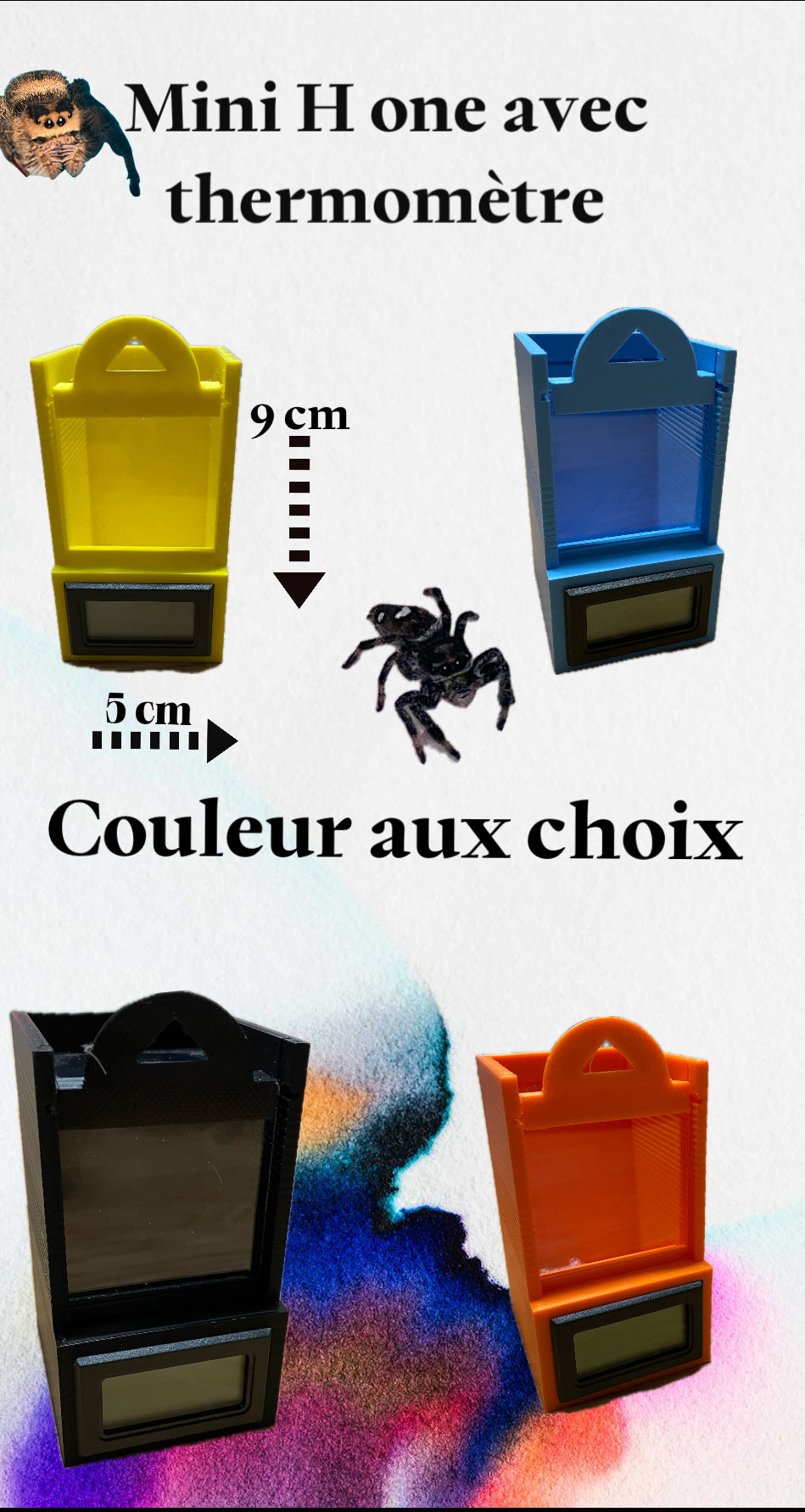 Terrarium pour phidippus régius avec thermomètre hygrométrique