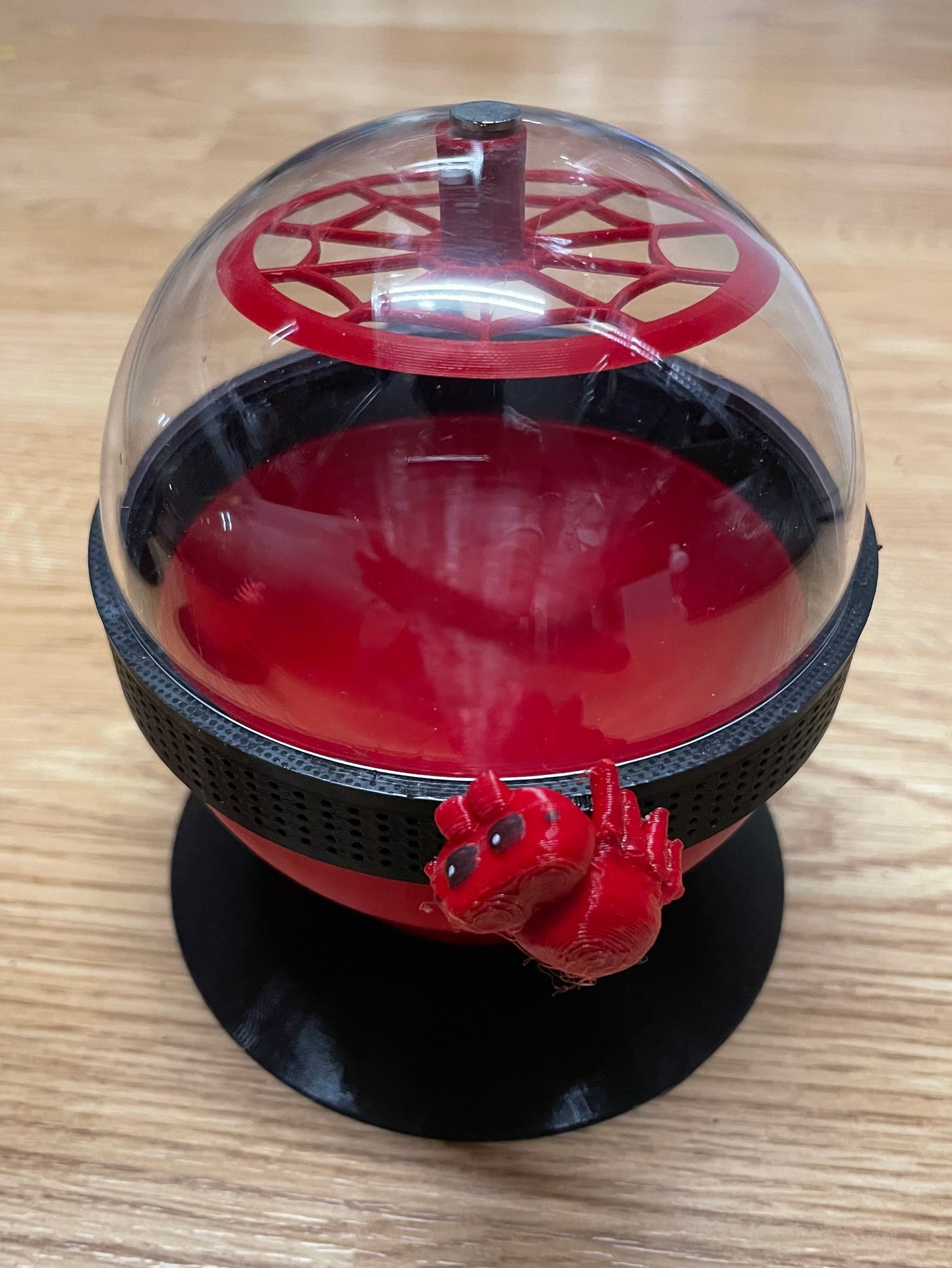 terrarium pour araignée phidippus régius forme boule