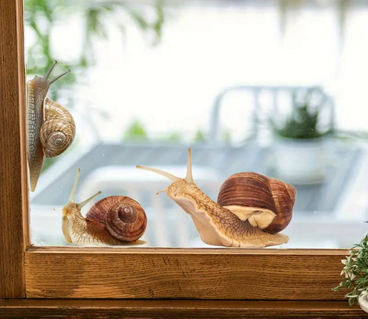 autocollant Escargot