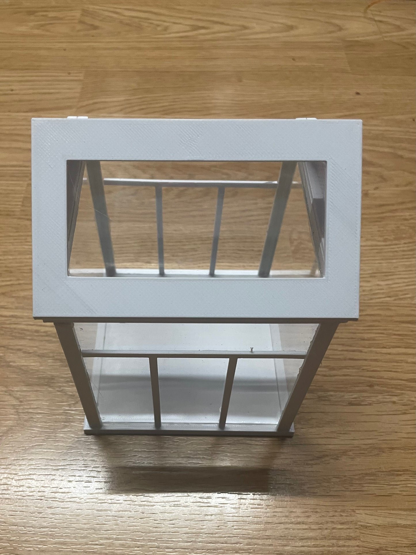 3D теплица для Фидиппа