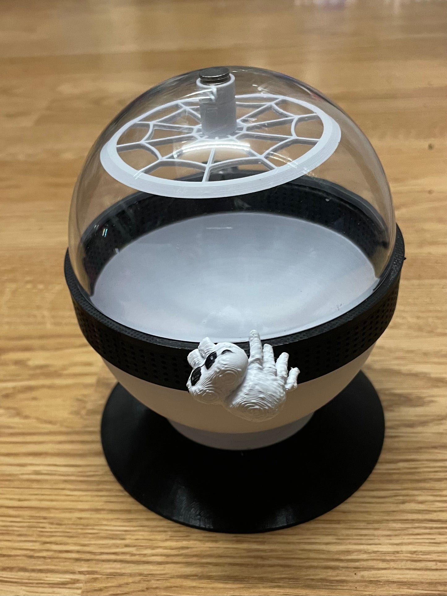 terrarium pour araignée phidippus régius forme boule