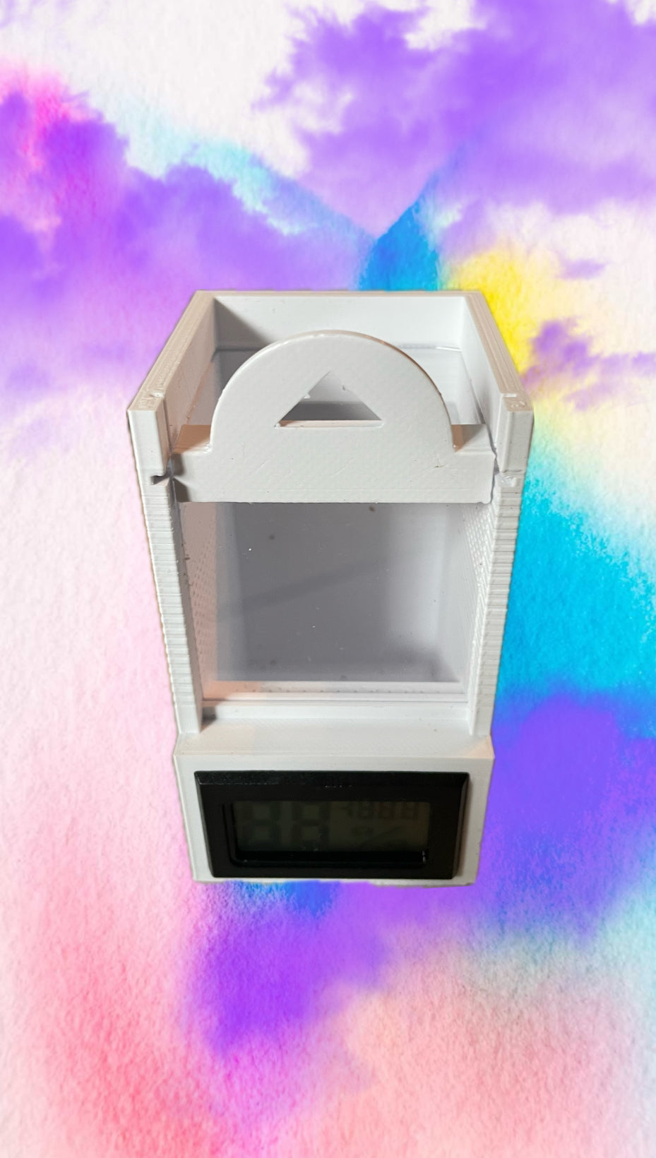Terrarium pour phidippus régius avec thermomètre hygrométrique H one mini