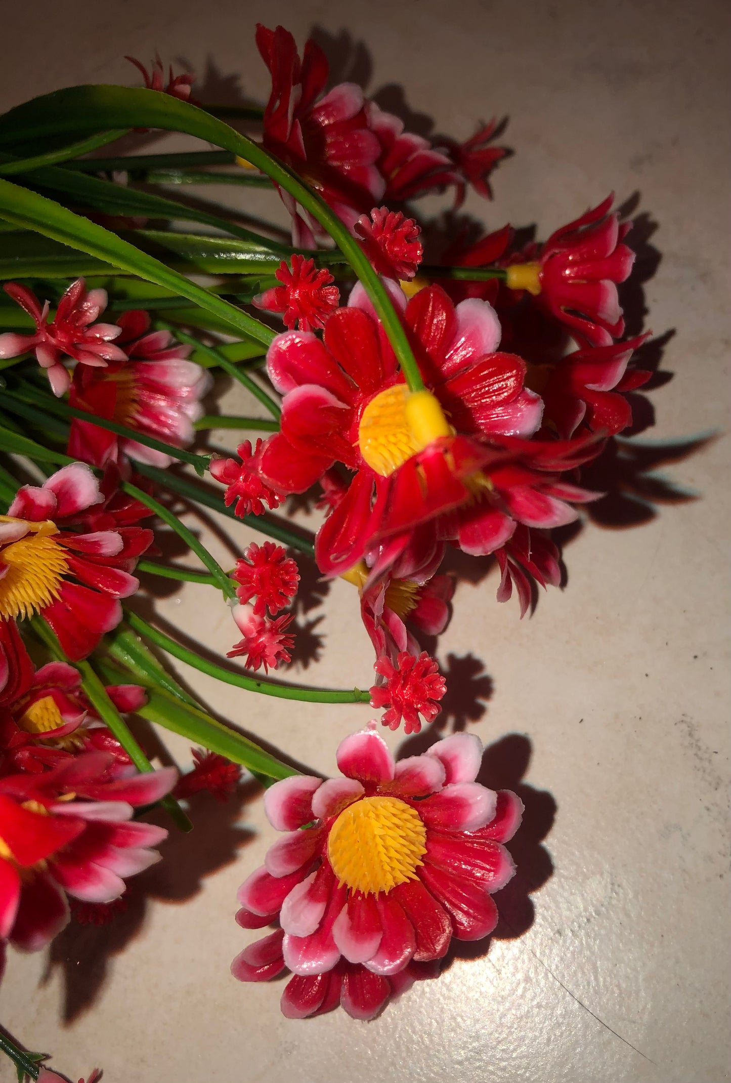 fake daisy plants