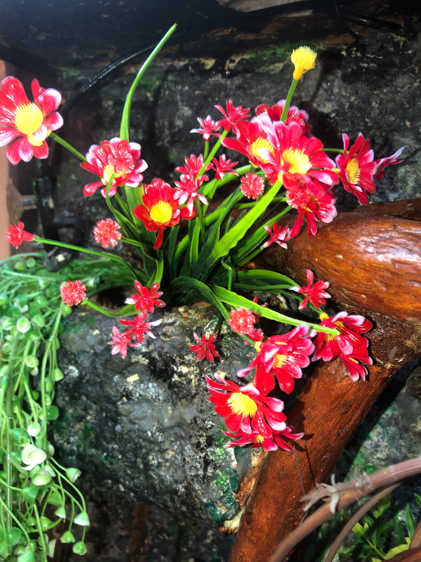 fake daisy plants