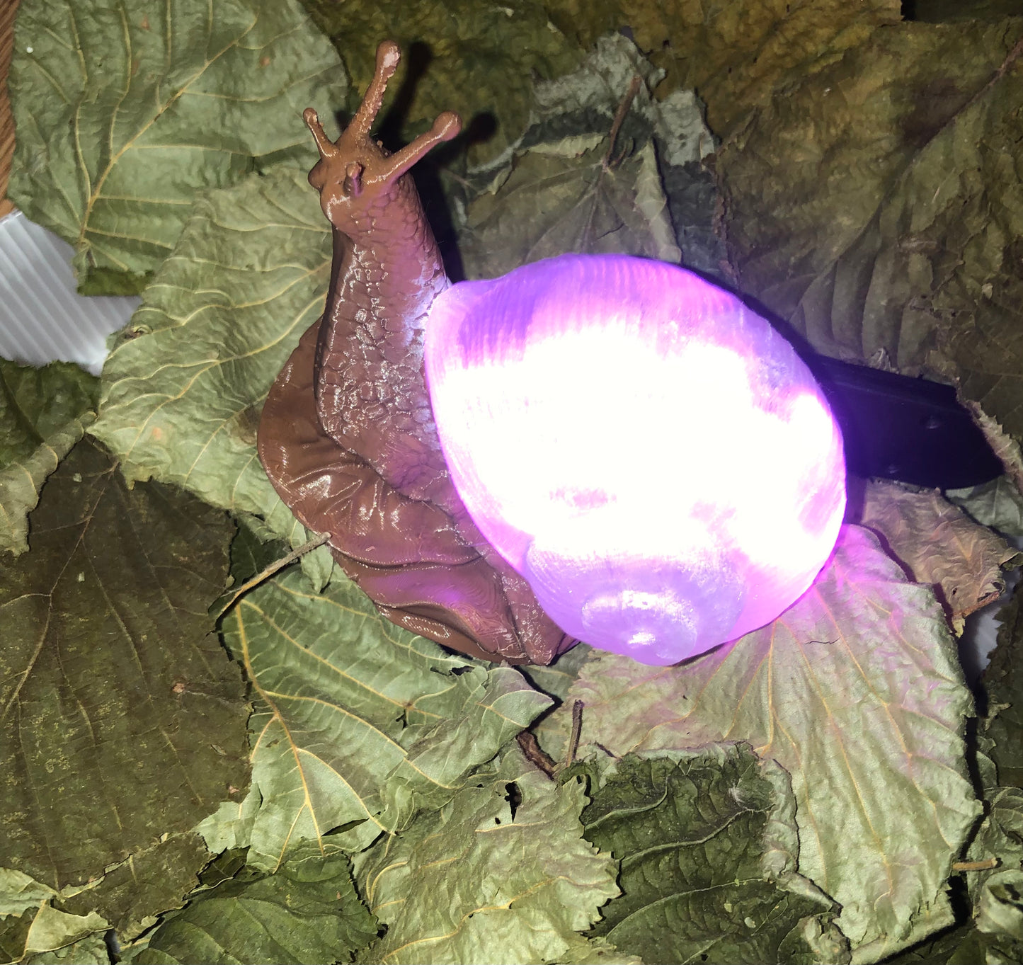 snail theme led night light