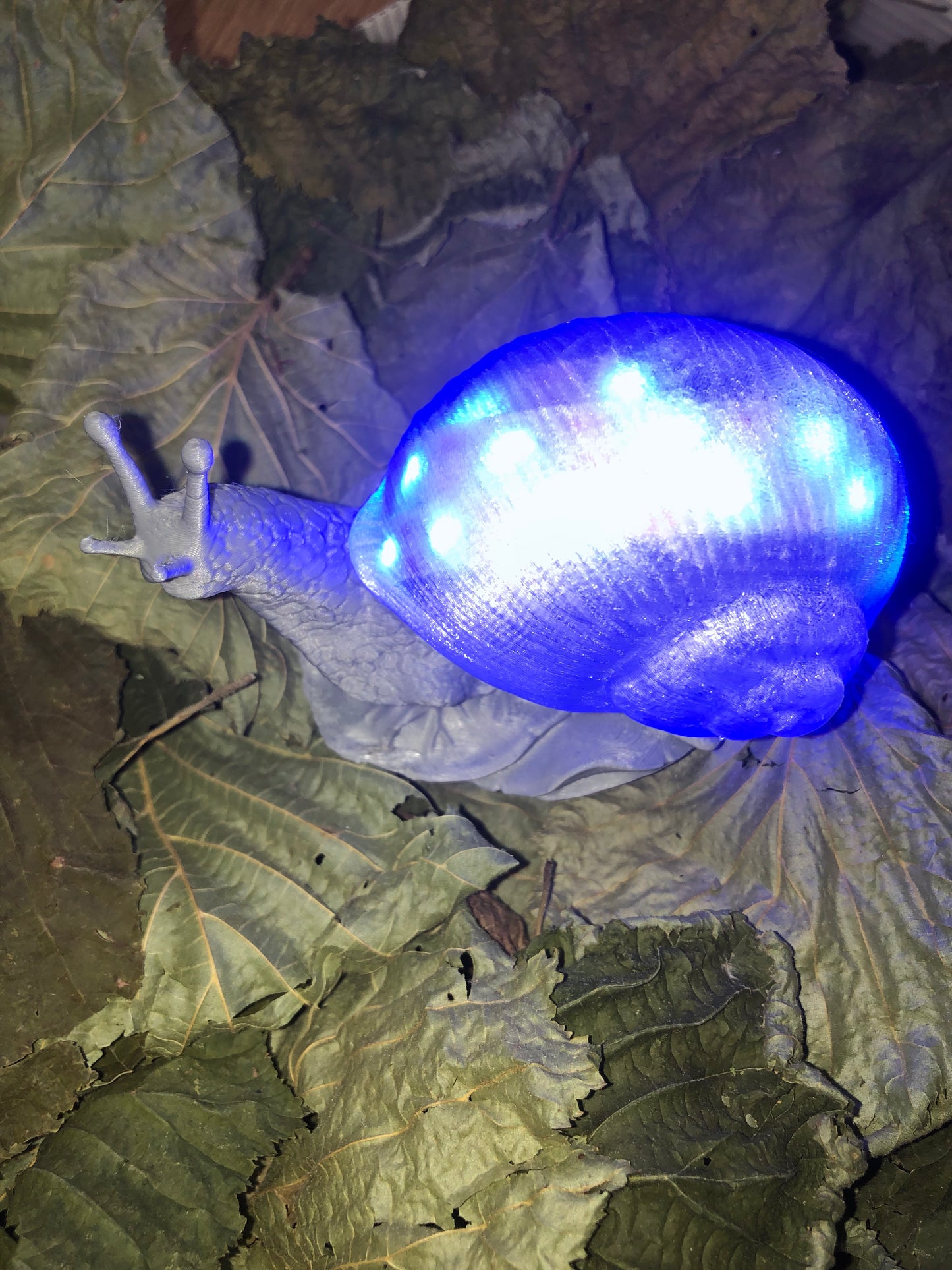 snail theme led night light