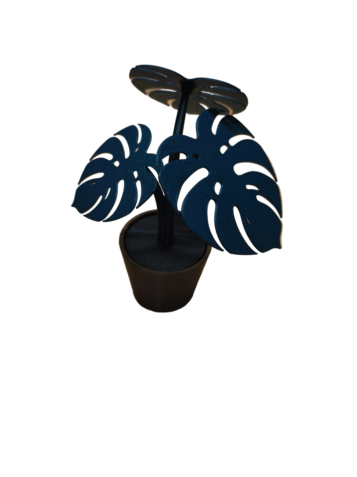 plante Monstera 3D