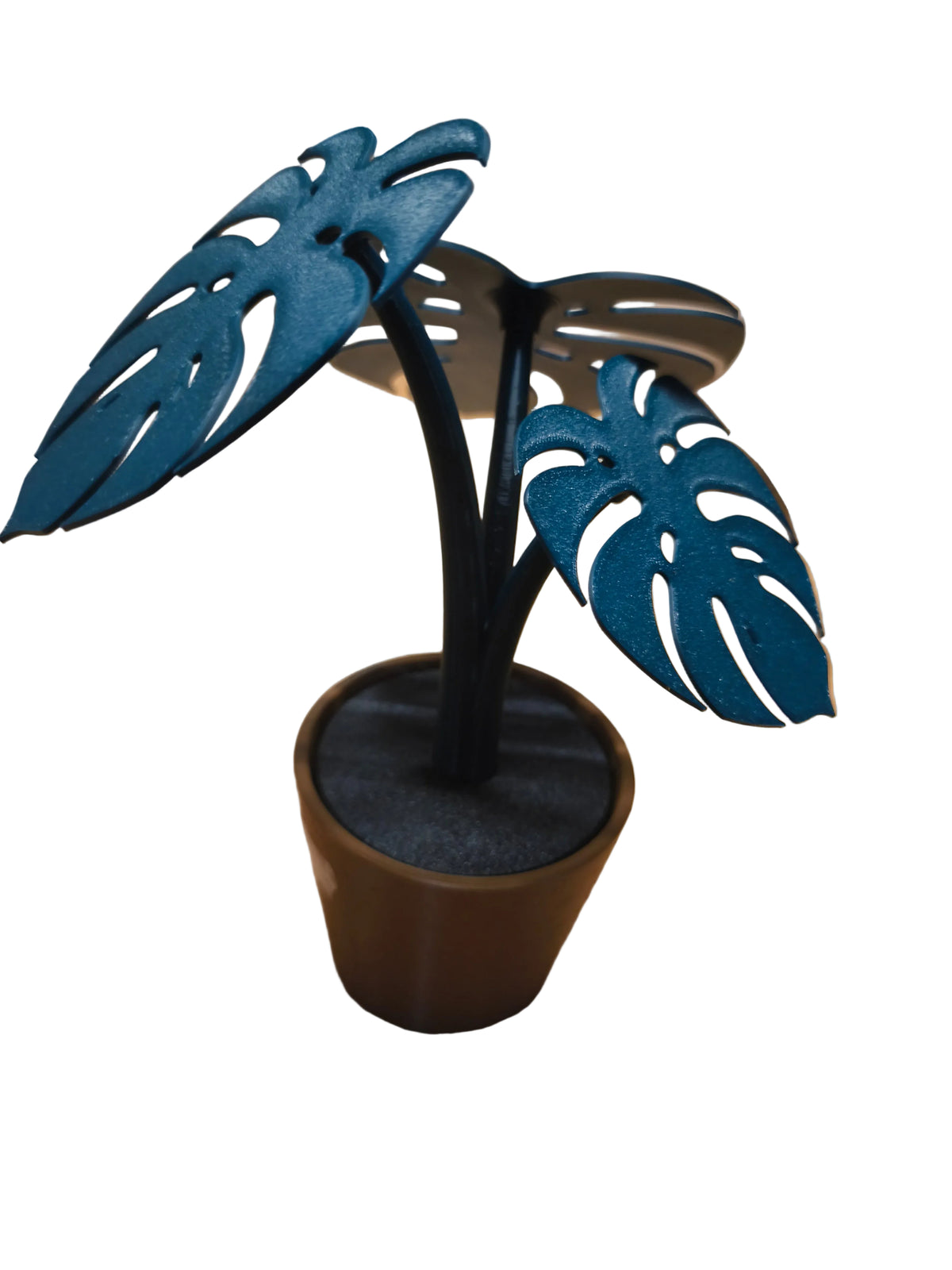 plante Monstera 3D