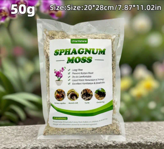 Sphaigne pour terrarium