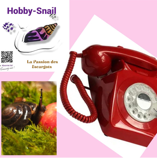 Entretien Hobby Snail Service