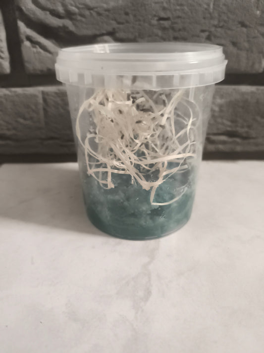 Drosophiles melanogaster